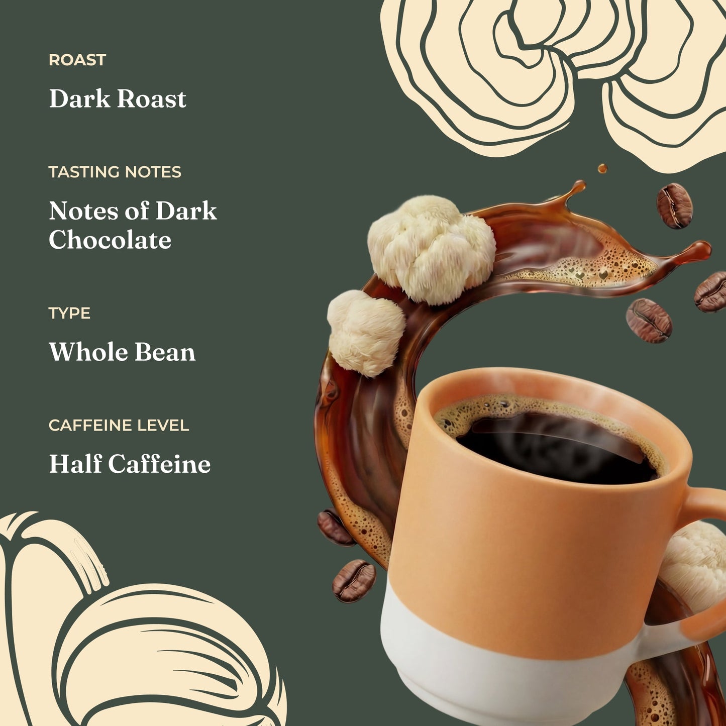 focus-half-caf-whole-bean-coffee-f9 Taste_-_Focus_Half_Caf_Whole_Bean_d1d02c35-db99-498e-ac43-813730db6953.jpg