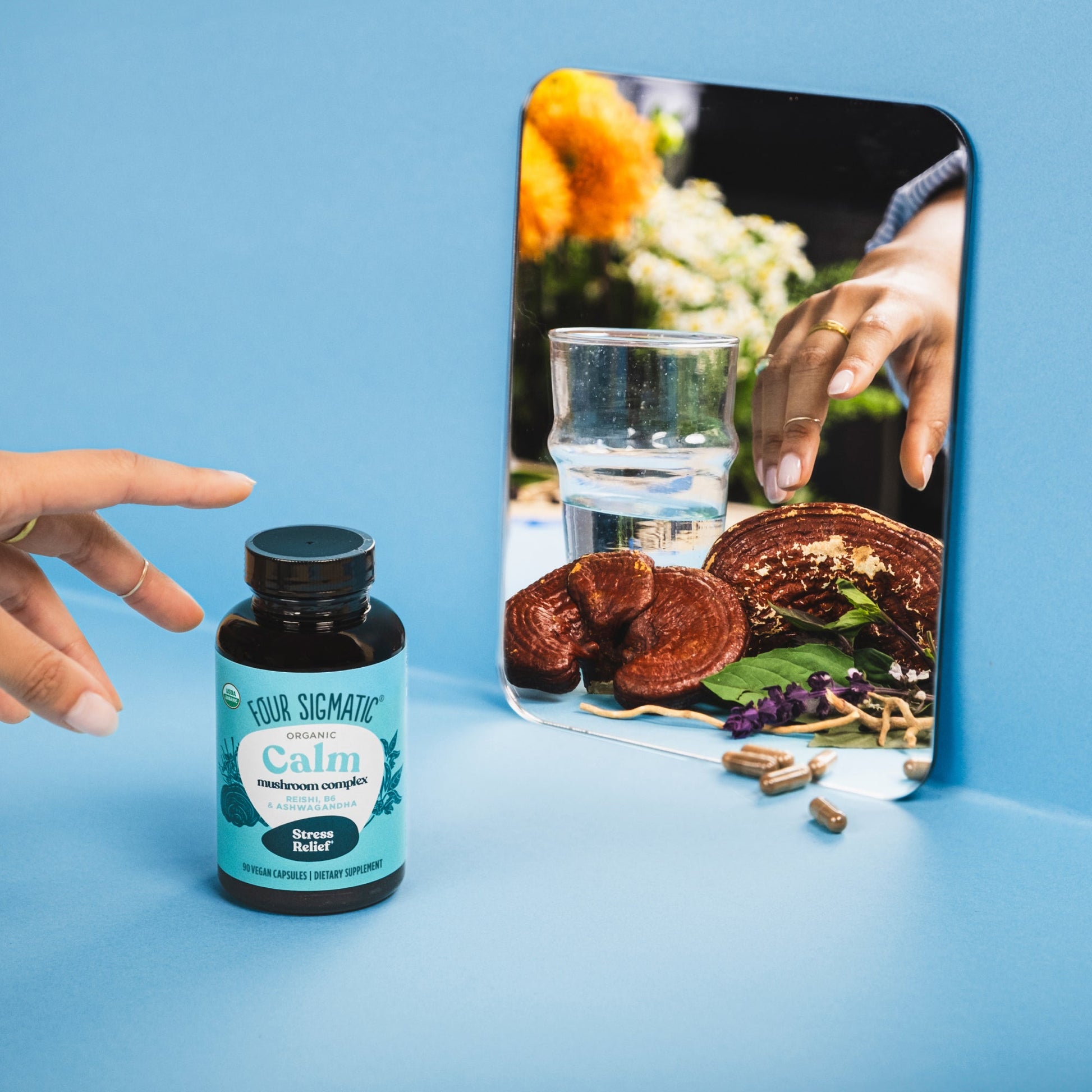 calm-capsules-z8 calm-capsule-1.jpg